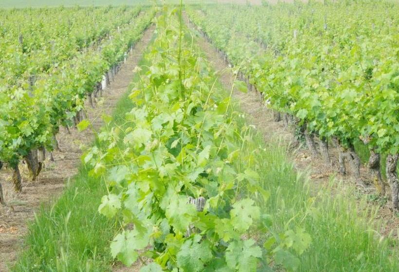 민박 La Bonne Note