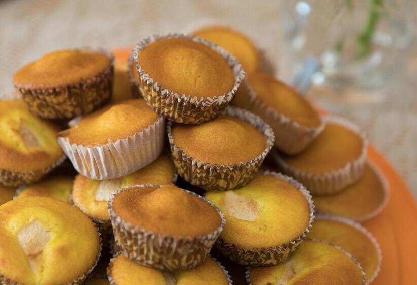 Bed and Breakfast Le Joli Rosier