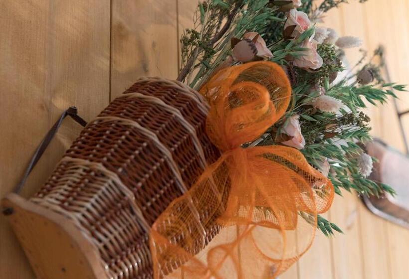 Bed and Breakfast Le Joli Rosier