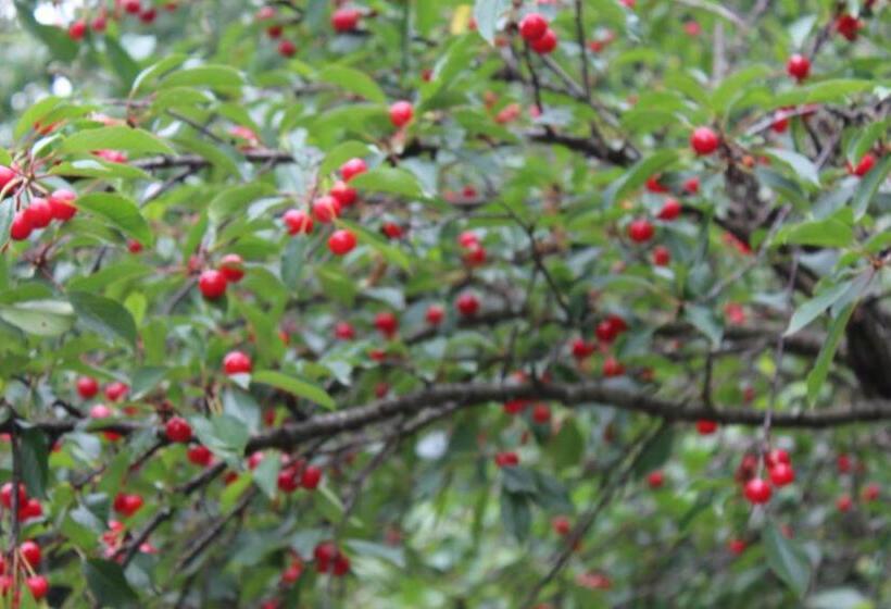 בית מלון כפרי Albergo Santo Spirito