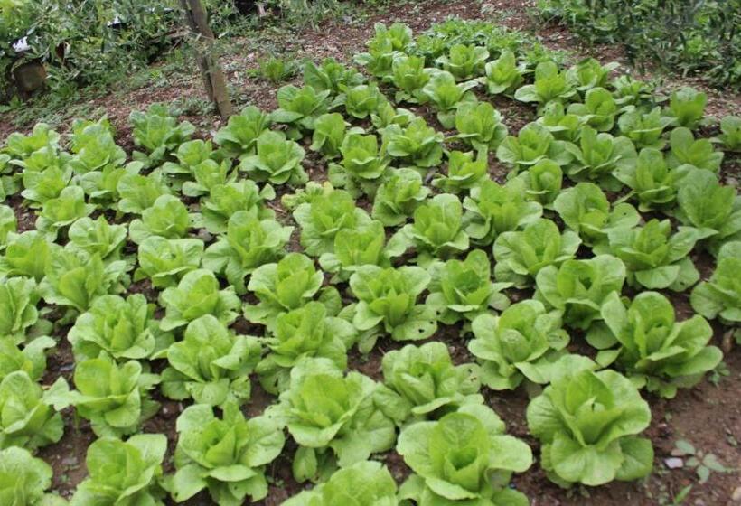 בית מלון כפרי Albergo Santo Spirito