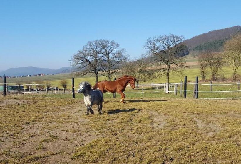 בית מלון כפרי Süntelhof