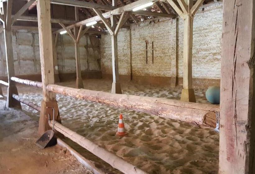 בית מלון כפרי Süntelhof