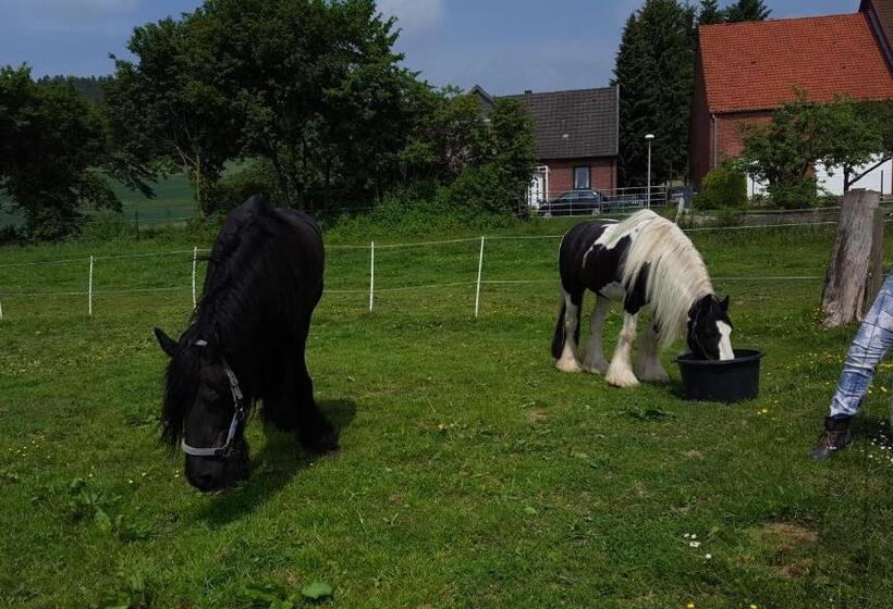 בית מלון כפרי Süntelhof