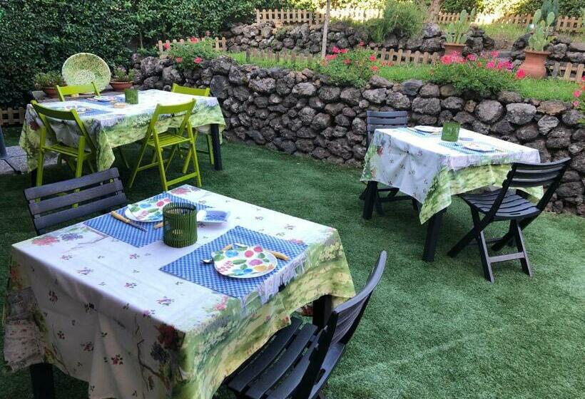 膳宿费 Etna Vintage