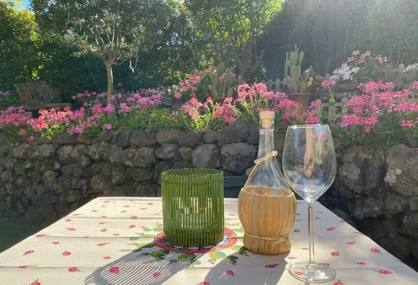 Majatalo Etna Vintage