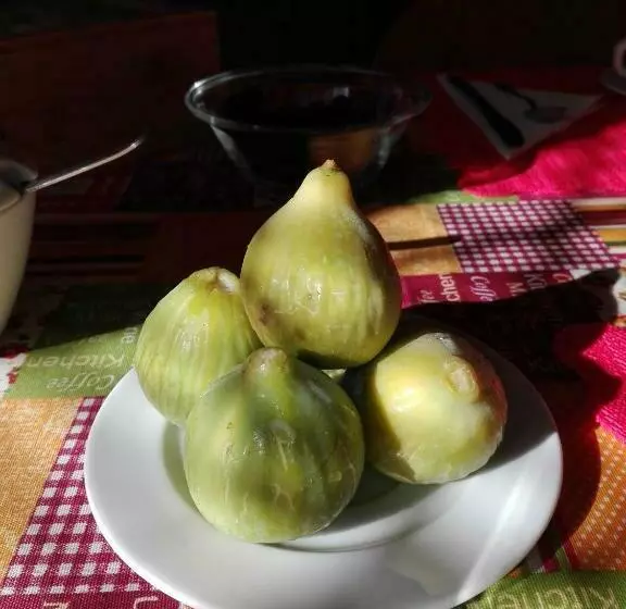 B&b La Dolce Vita