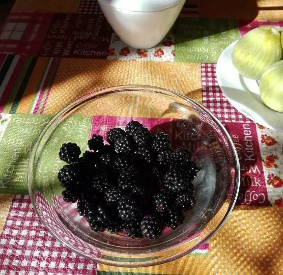 B&b La Dolce Vita