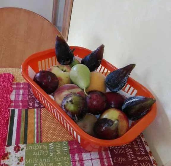 B&b La Dolce Vita