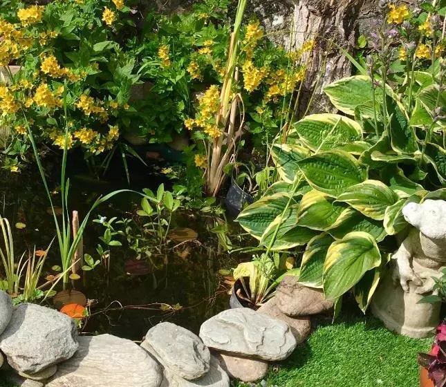 ベッドアンドブレックファースト Alpine Cottage