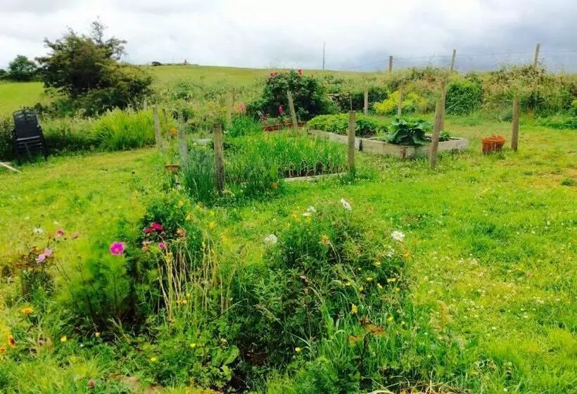 ベッドアンドブレックファースト Holland House