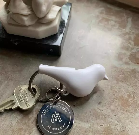 ベッドアンドブレックファースト Mellby Atelier På österlen