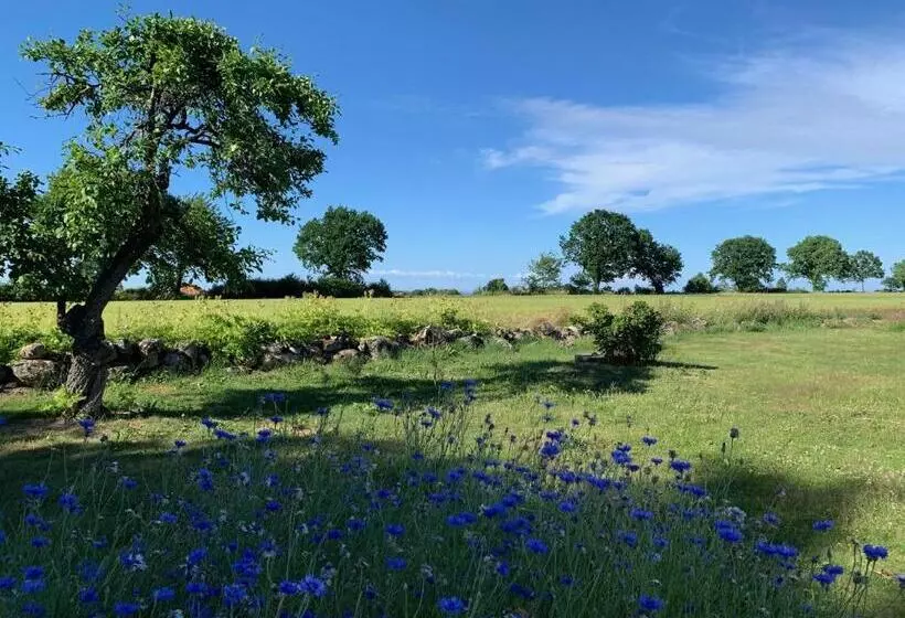 ベッドアンドブレックファースト Mellby Atelier På österlen