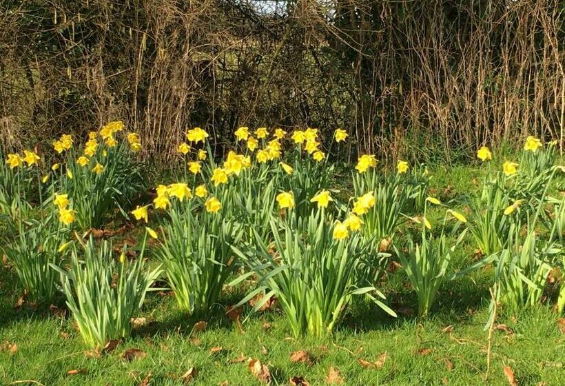 Bed and Breakfast Wood Farm Kerdiston