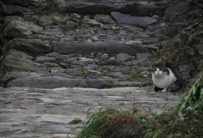 Bed & Breakfast Triora Medievale