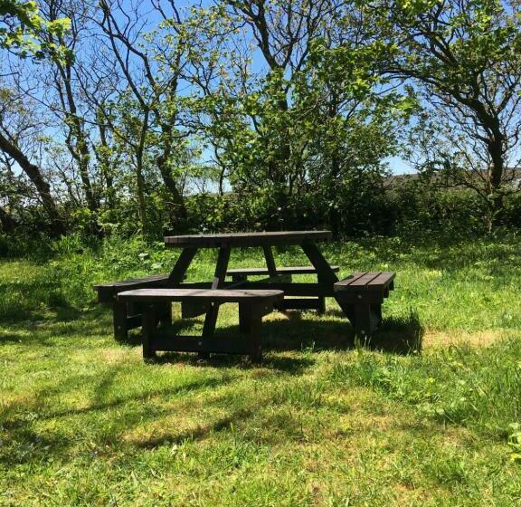 فندق Higher Carthew Farm