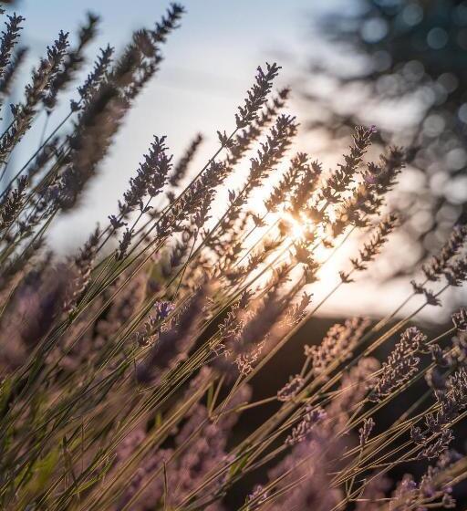 مبيت وإفطار Le Clos De La Rousselière B And B