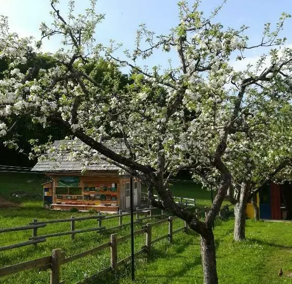 پانسیون Apartments And Rooms Cerkovnik