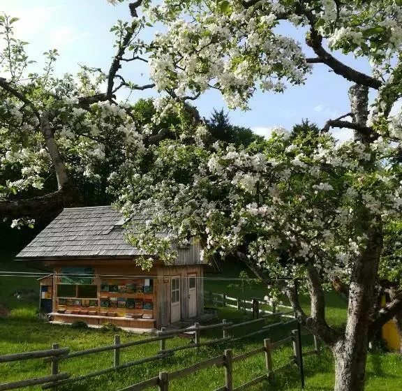 پانسیون Apartments And Rooms Cerkovnik