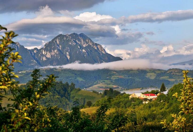 ペンション Casa Cristalul Muntilor