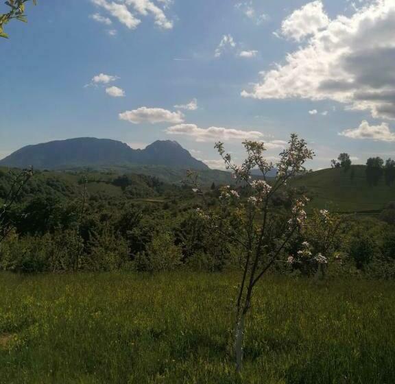 ペンション Casa Cristalul Muntilor