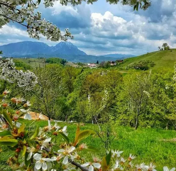 Majatalo Casa Cristalul Muntilor