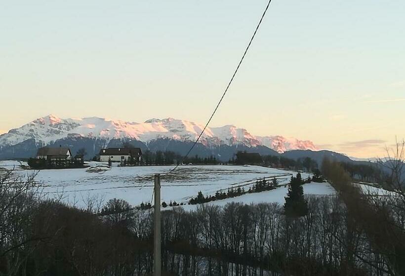 ペンション Casa Cristalul Muntilor