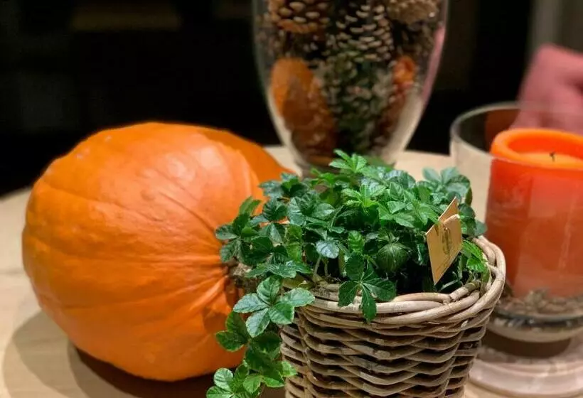 B&b D Oude Brouwerij