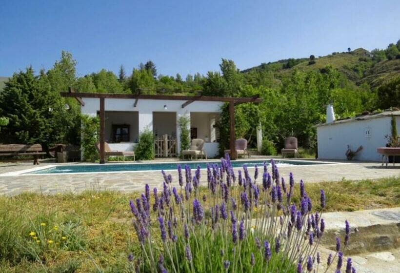 Bed and Breakfast Cortijo Solera