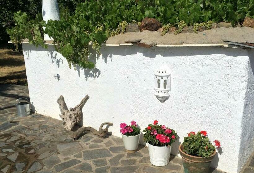 Bed and Breakfast Cortijo Solera