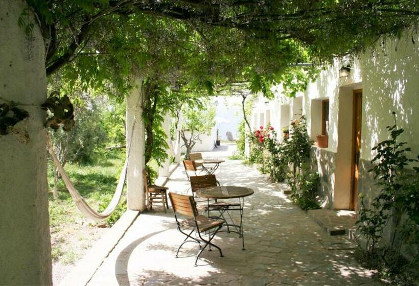 Bed and Breakfast Cortijo Solera