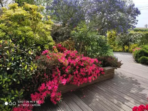 Aamiaismajoitus (B&B) Les Chambres Des Badious