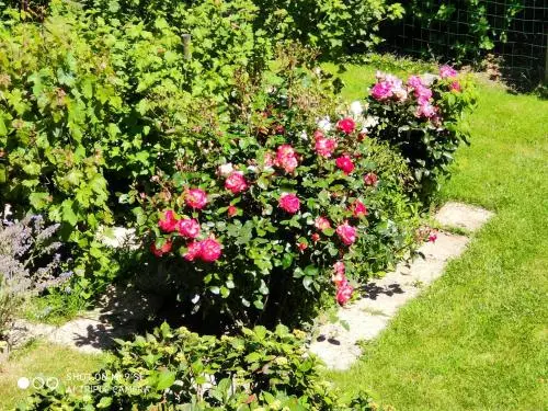 Aamiaismajoitus (B&B) Les Chambres Des Badious