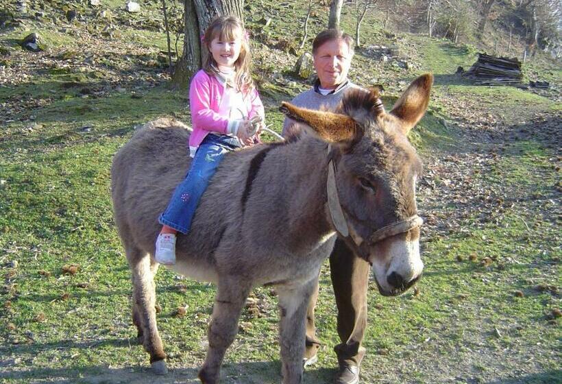 فندق Agriturismo Sorripe