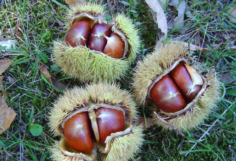 فندق Agriturismo Sorripe