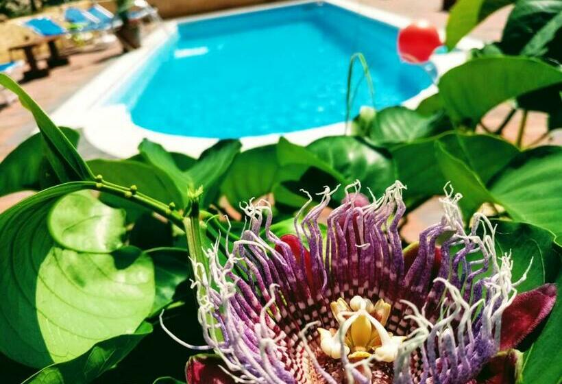 B&b Villa Sant Antonio