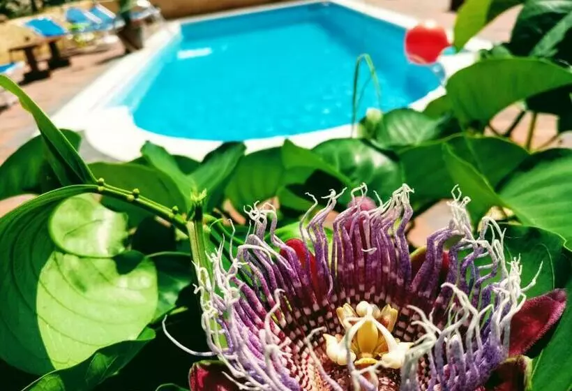B&b Villa Sant Antonio