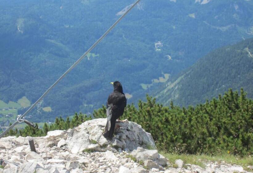 فندق Haus Galler   Urlaub Am Bauernhof