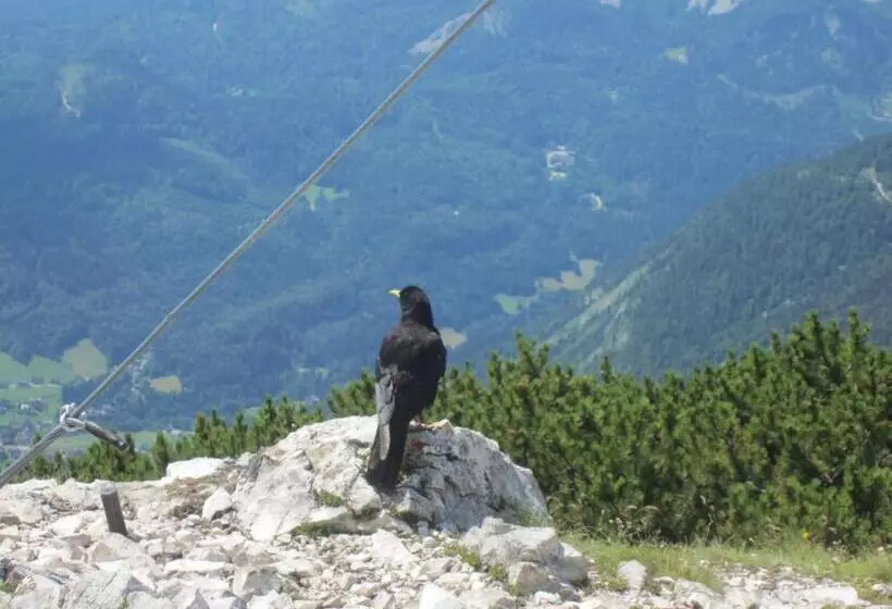 ホテル Haus Galler   Urlaub Am Bauernhof