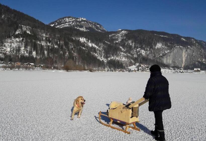 فندق Haus Galler   Urlaub Am Bauernhof