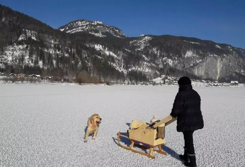 ホテル Haus Galler   Urlaub Am Bauernhof