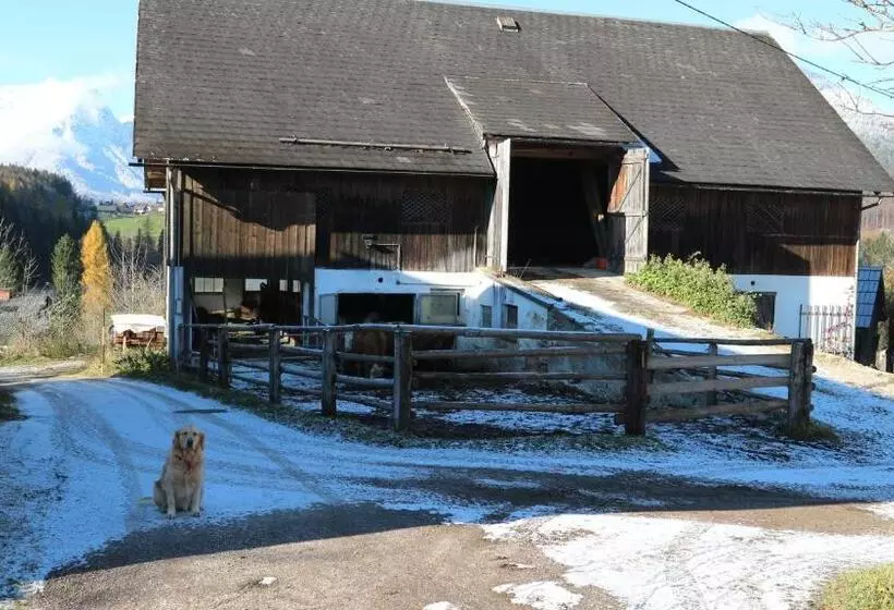 ホテル Haus Galler   Urlaub Am Bauernhof
