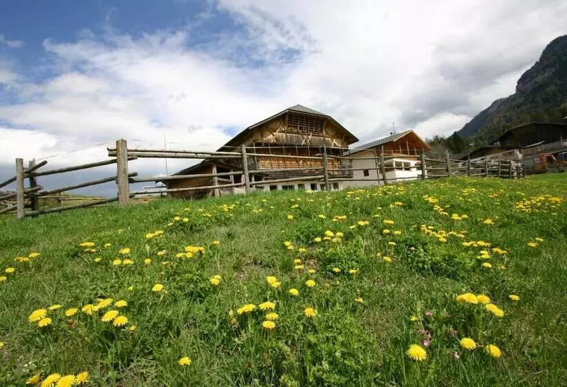 هتل Hilpoldhof