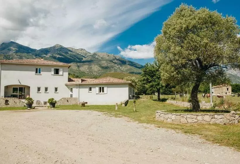 پانسیون B&b A Chjusellina