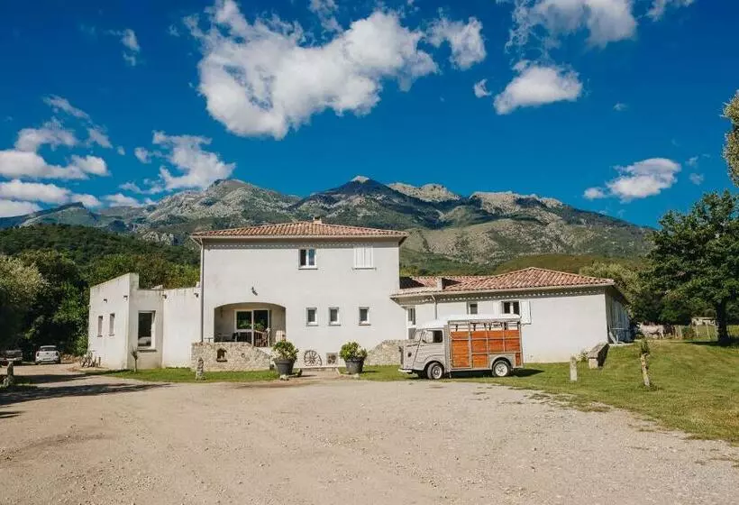 پانسیون B&b A Chjusellina