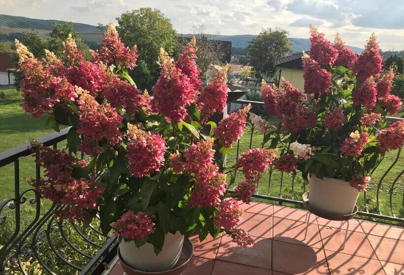 פנסיון Haus Buena Vista