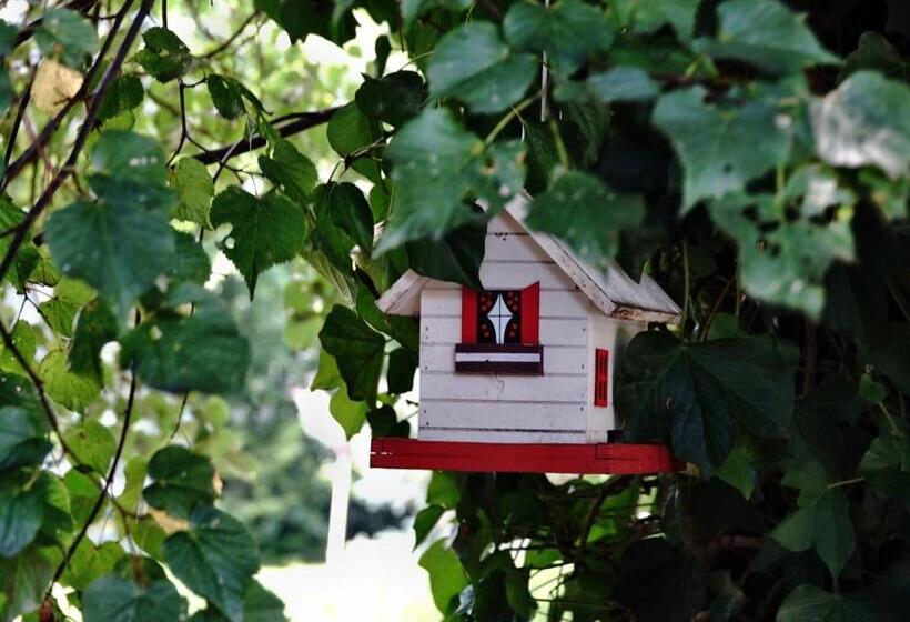 פנסיון Haus Buena Vista