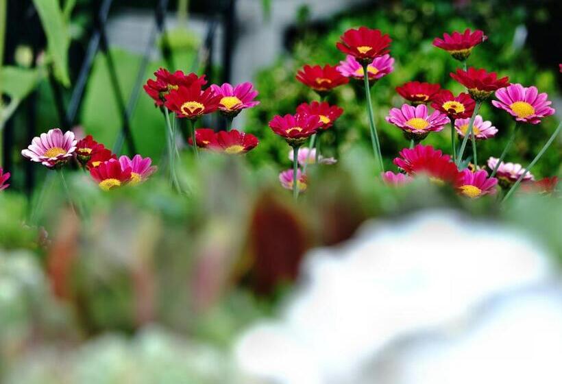 פנסיון Haus Buena Vista