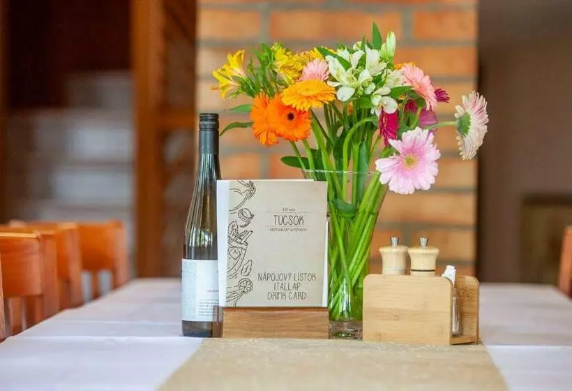 Majatalo Penzión Tücsök