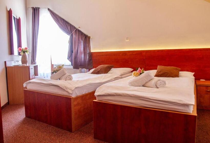 ペンション Penzión Tücsök